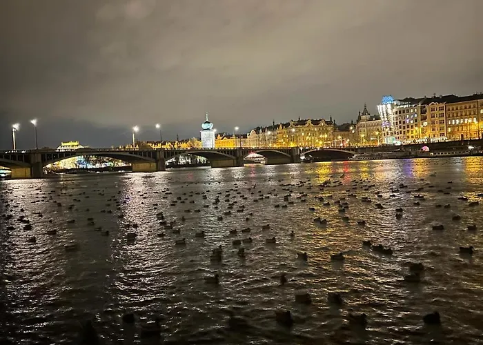 River View Manes Prag
