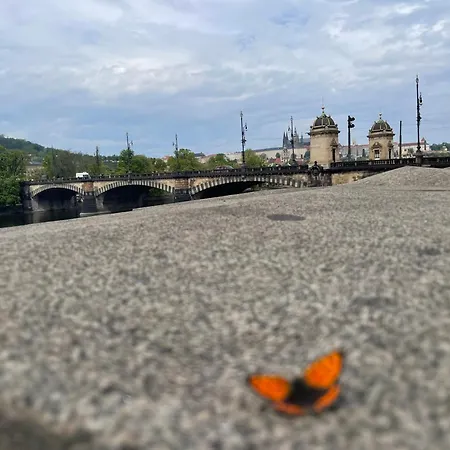 River View Manes Appartement