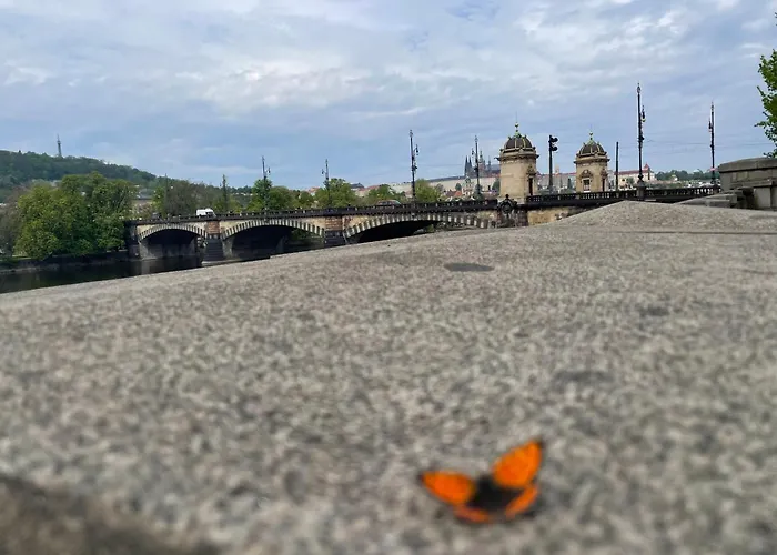 River View Manes Appartement